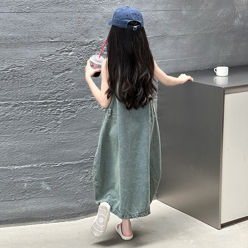 Vintage Blue Children Girls Hi – обзор и цена Vintage Fashion Dresses